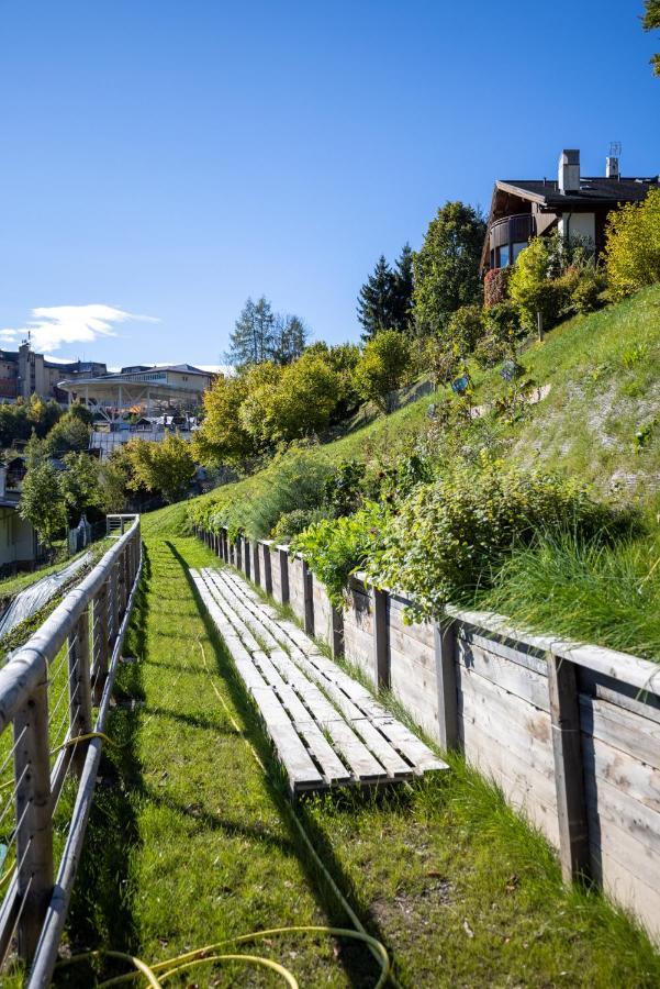 Hotel Giallo Dolomiti Pieve di Cadore Esterno foto